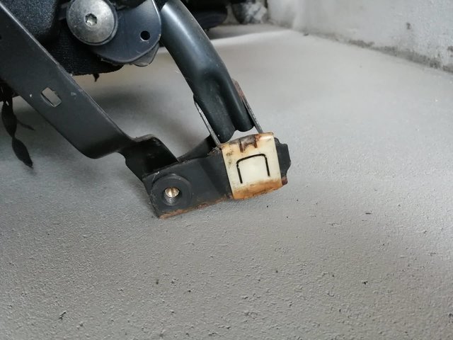 71502435_758532731264924_7673704873900113920_n.jpg