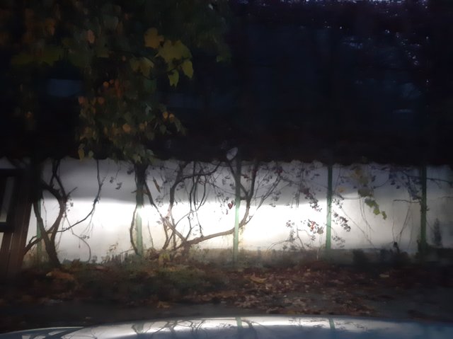 20191121_171441.jpg