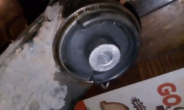 IMG_20200308_113055.jpg