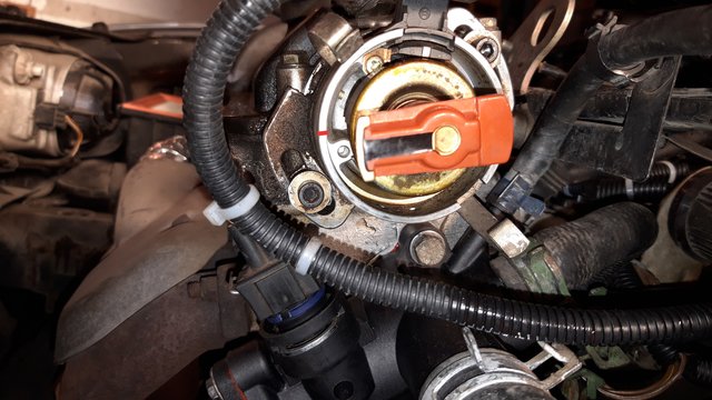 20200417_211203.jpg