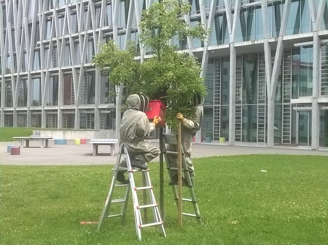 WP_20140607_006.jpg
