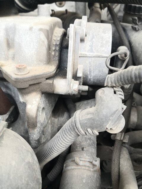 IMG_20200505_195412.jpg
