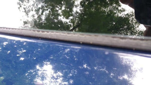 20200605_135622.jpg