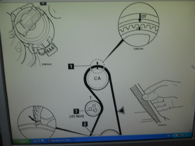 DSCN0398.jpg