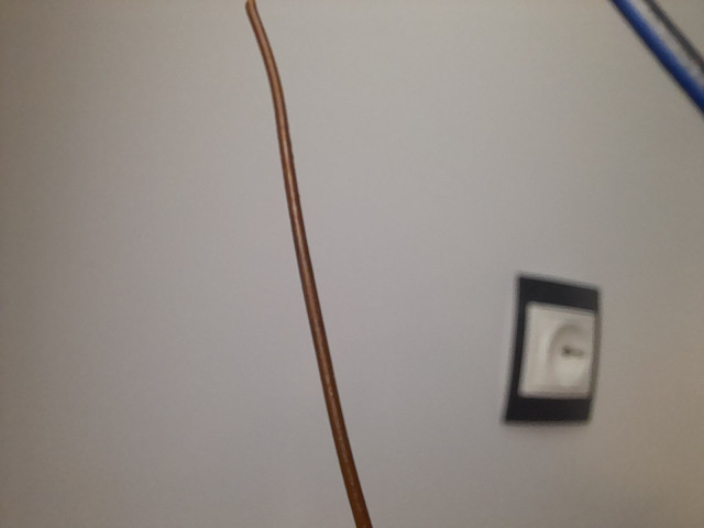 20201215_000254.jpg