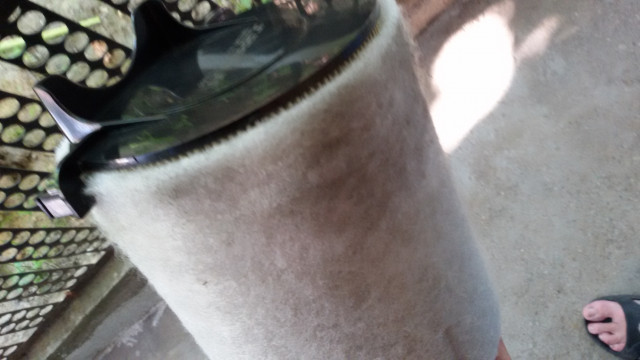 20200701_183429.jpg