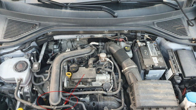 20220905_194738.jpg