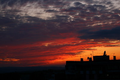 IMG_1480_resize.JPG