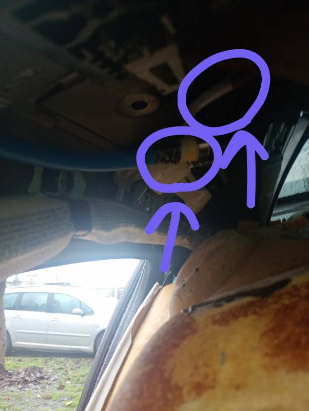 IMG-f6f87a2ce3444090602126fe761974fd-V (1).jpg