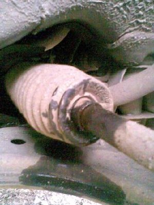 Image1.JPG