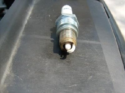 S6302588.JPG