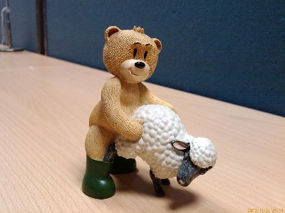 IMAG0010.jpg