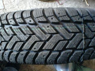 DSC00074 [320x200].JPG