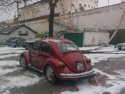 IMAG0013.jpg