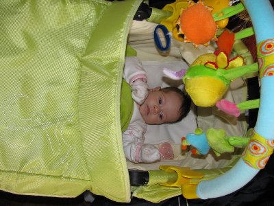 IMG_0041a.jpg
