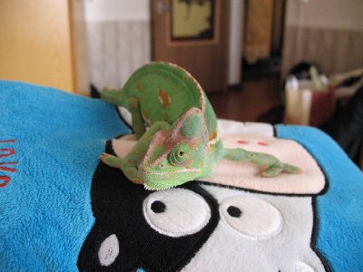 IMG_0619_2.jpg