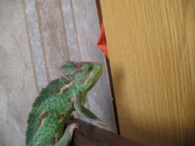 IMG_0615_1.jpg