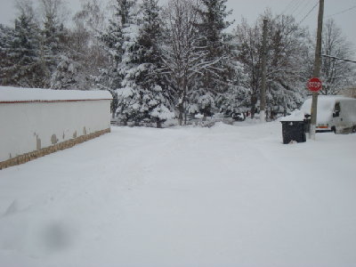DSC01303.JPG