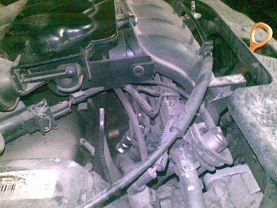 22122009(002).jpg