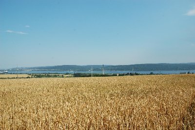 DSC_0037.jpg