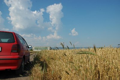 DSC_0044.jpg