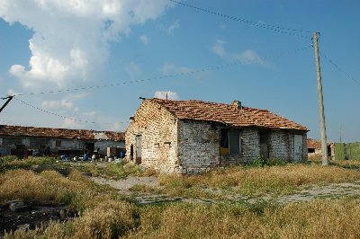 DSC_0055.jpg