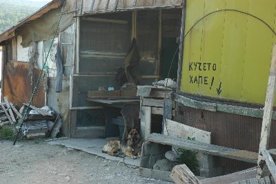 DSC_0078.jpg