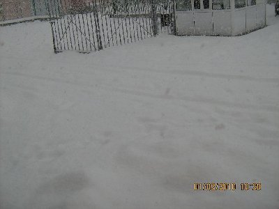 IMG_0002.jpg