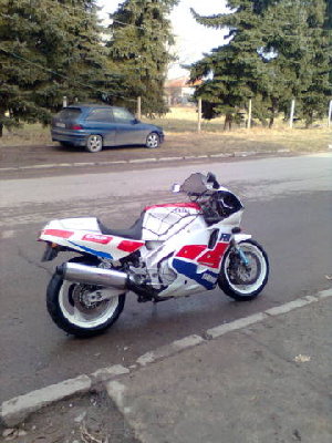 017245507.jpg