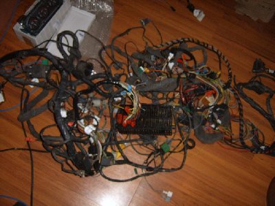SUC51430.JPG