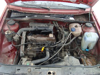 DSC04698 (Custom).JPG