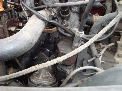 DSC04703 (Custom).JPG