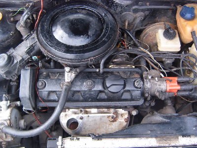 S3700246.JPG