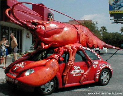 bettlelangouste[1].jpg