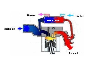 egr4_e.jpg