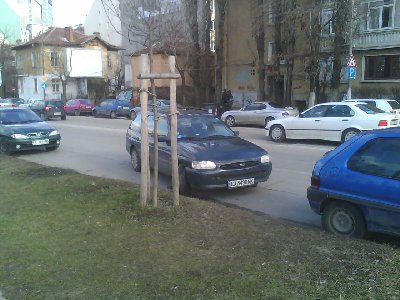 IMAG0098.jpg