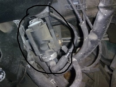 n75.jpg