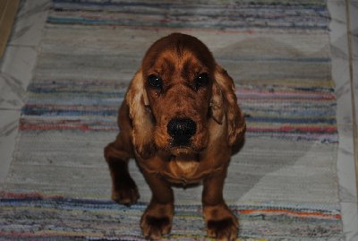 DSC_1312.JPG