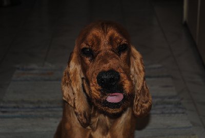 DSC_1315.JPG