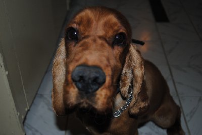 DSC_1070.jpg