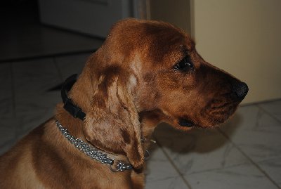 DSC_1064.jpg