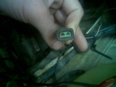 Copy 1 of Изобр008.jpg