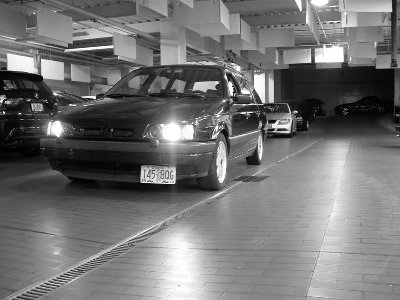 DSCN02900396 (Medium).jpg