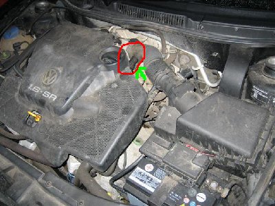 13_img0670mediumvl3.jpg