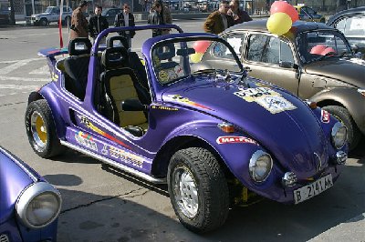 img_021_std.jpg
