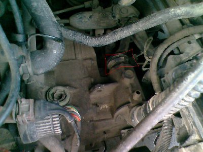 IMG0058A.jpg