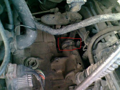 IMG0056A.jpg