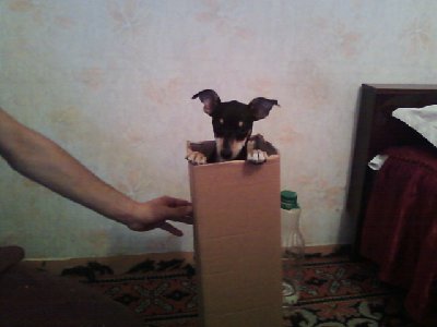Снимка0963.jpg