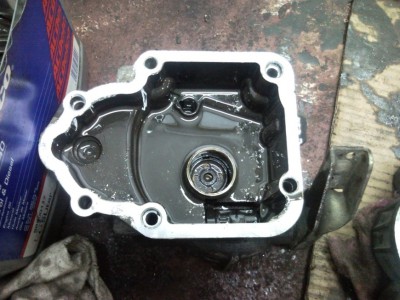 SNC00037.jpg