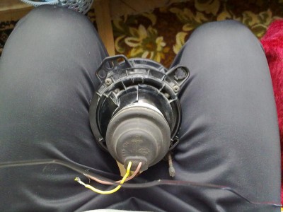 250420101139.jpg